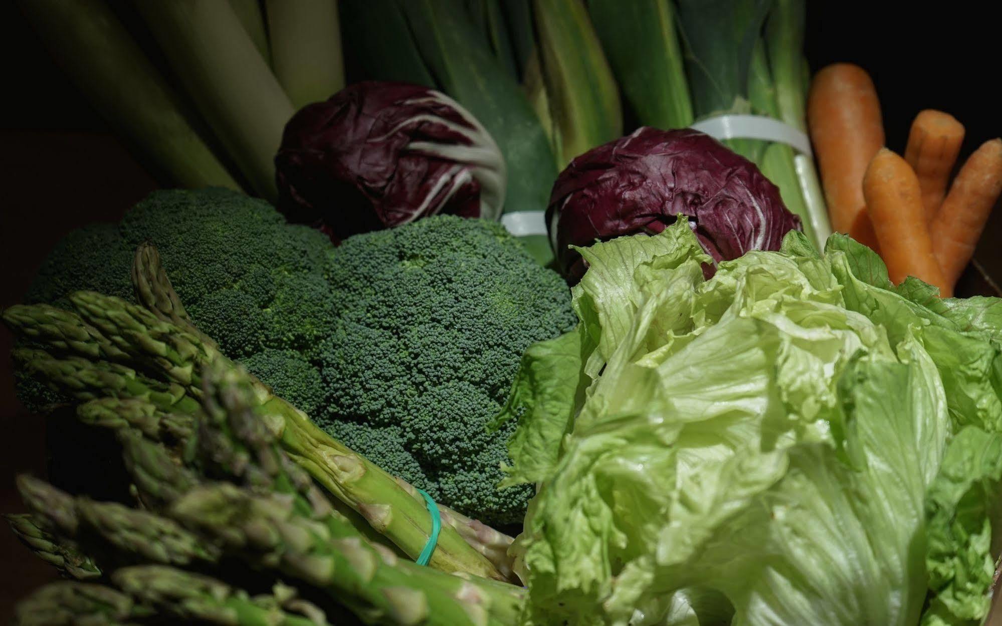 Landa Hotell Burgo Exteriör bild Vegetables